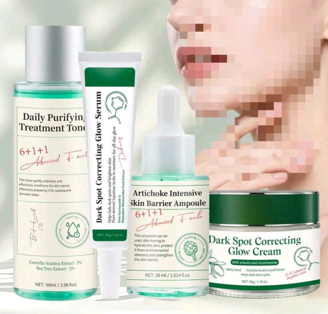 Korean skin care combo
